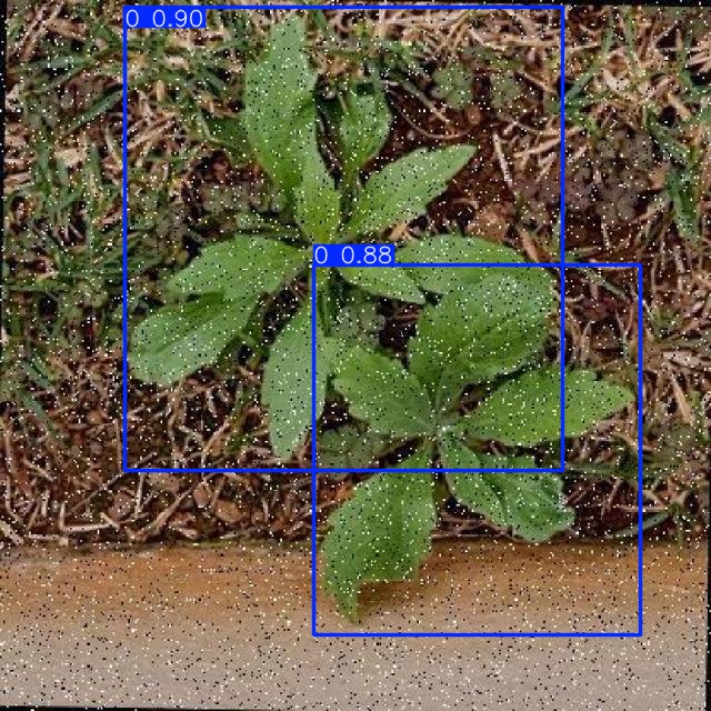 Annotated Image