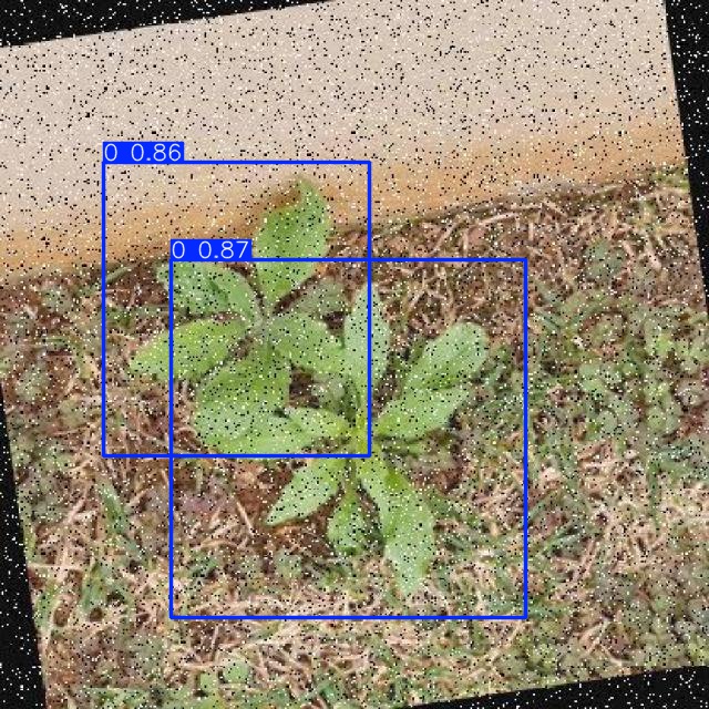 Annotated Image