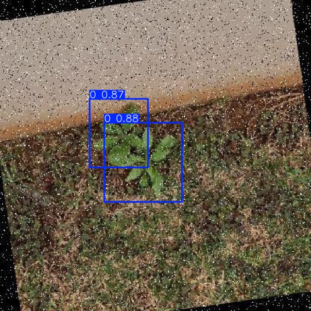 Annotated Image