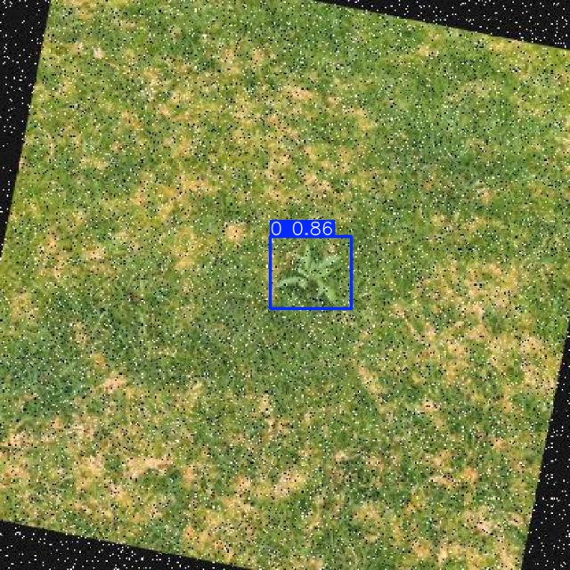Annotated Image