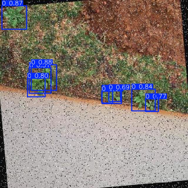 Annotated Image