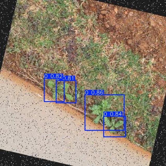 Annotated Image