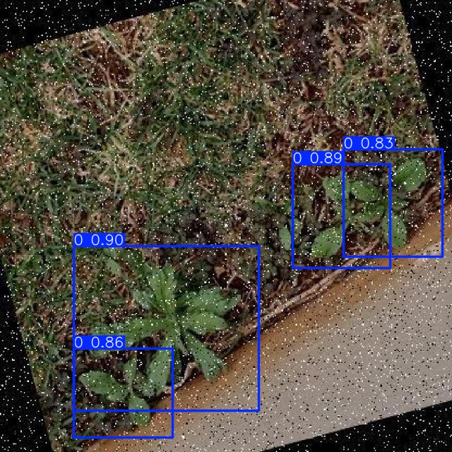 Annotated Image
