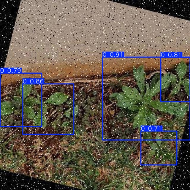 Annotated Image