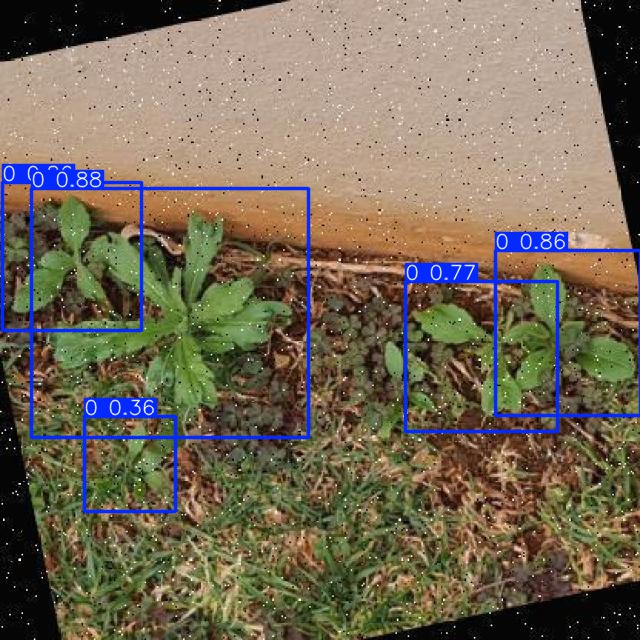 Annotated Image