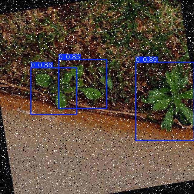 Annotated Image