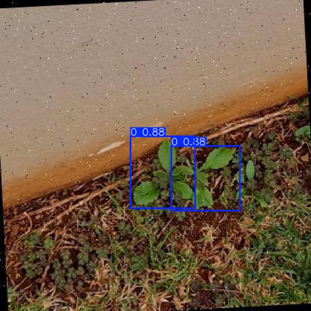 Annotated Image