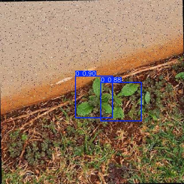 Annotated Image