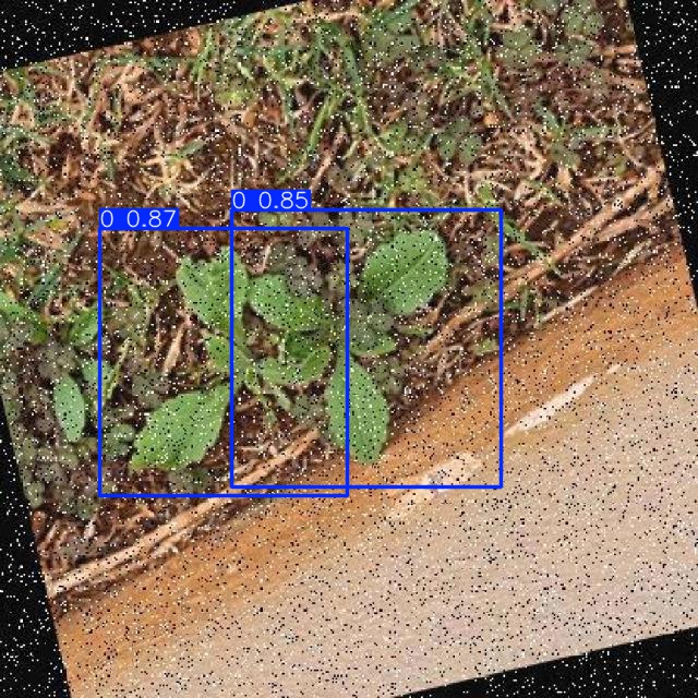 Annotated Image