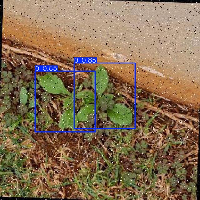 Annotated Image