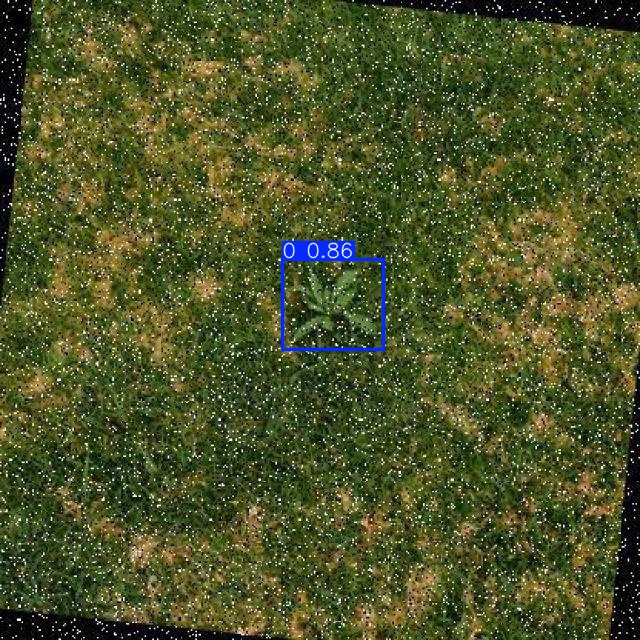 Annotated Image