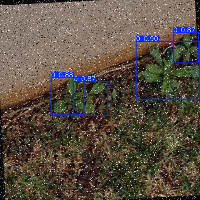 Annotated Image