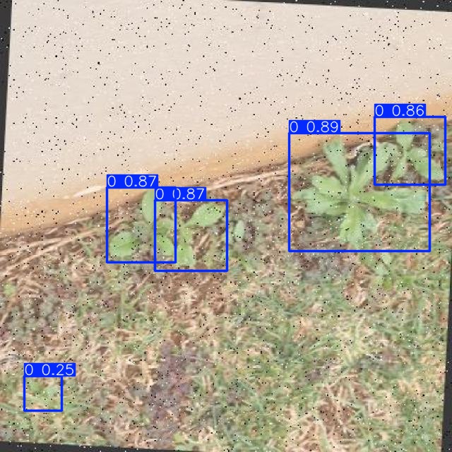 Annotated Image