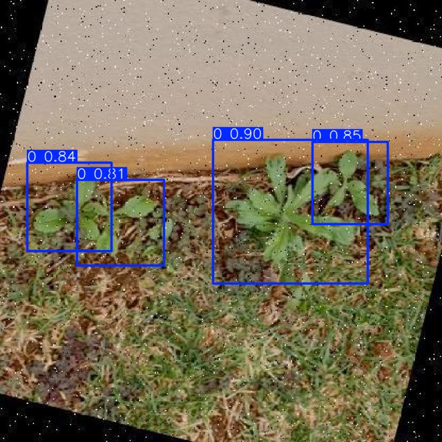 Annotated Image