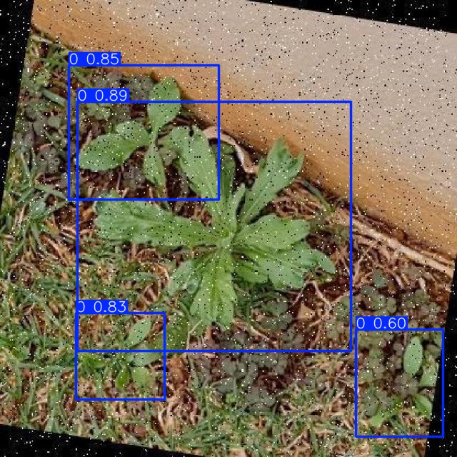 Annotated Image