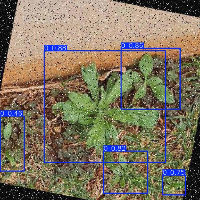 Annotated Image