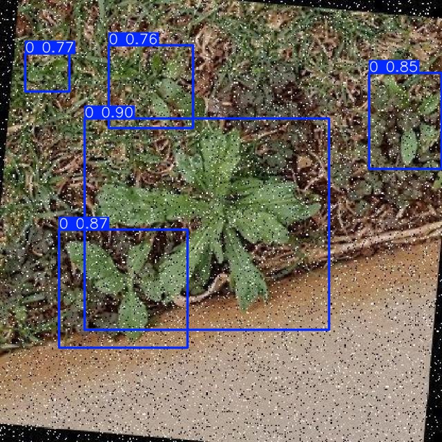 Annotated Image