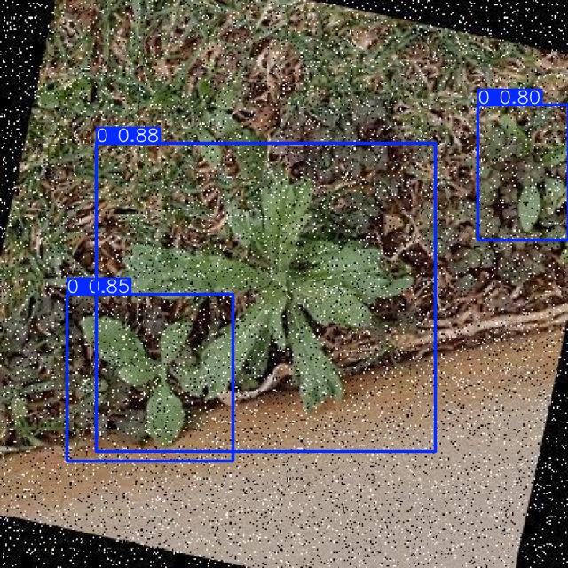 Annotated Image