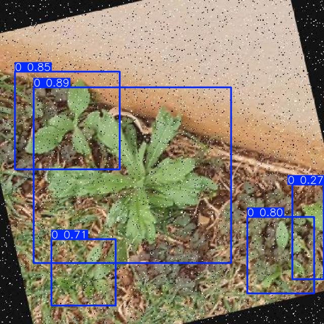 Annotated Image