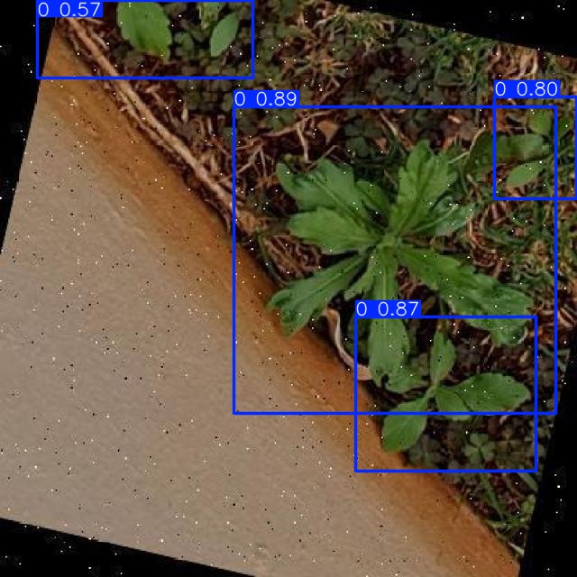 Annotated Image