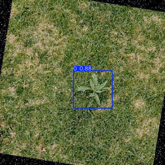 Annotated Image