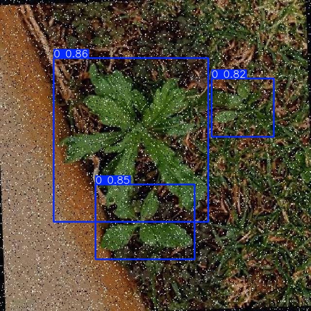 Annotated Image
