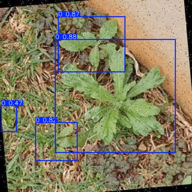 Annotated Image