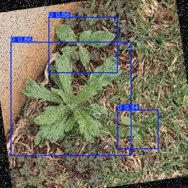 Annotated Image