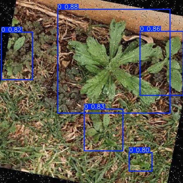 Annotated Image