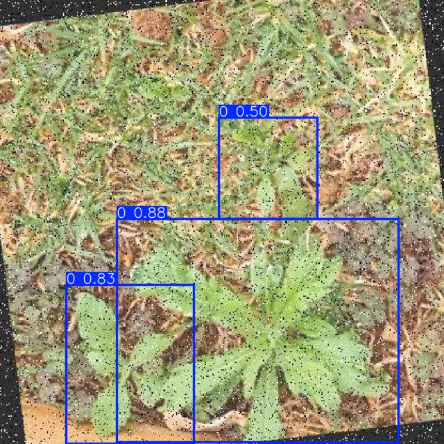 Annotated Image