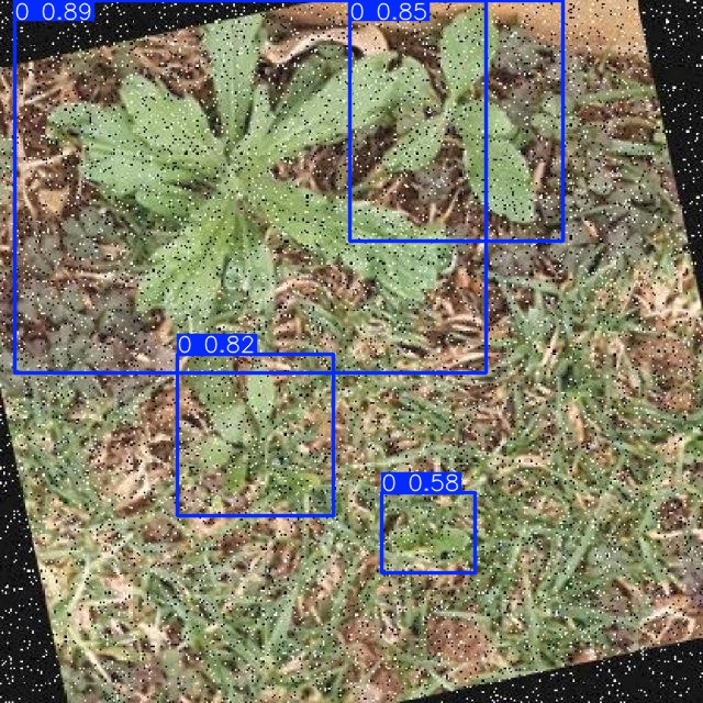 Annotated Image