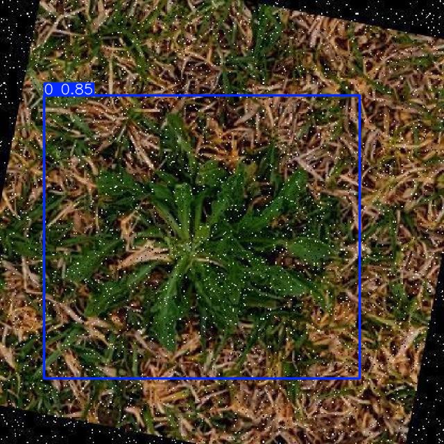 Annotated Image