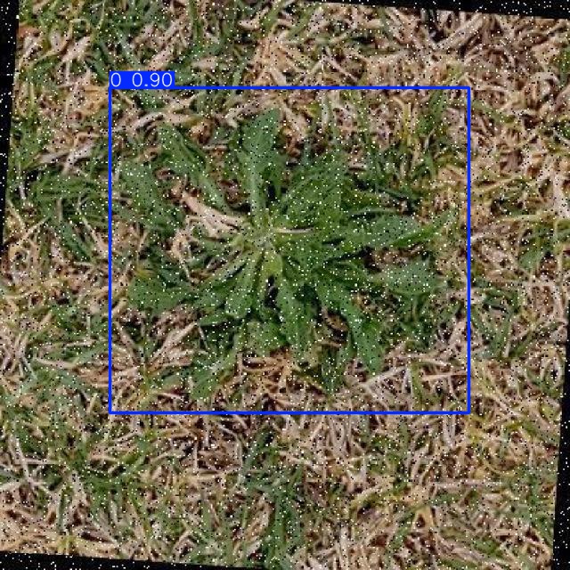 Annotated Image