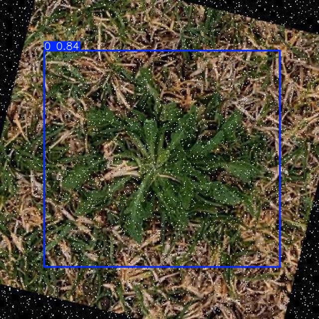 Annotated Image