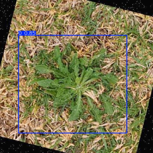 Annotated Image