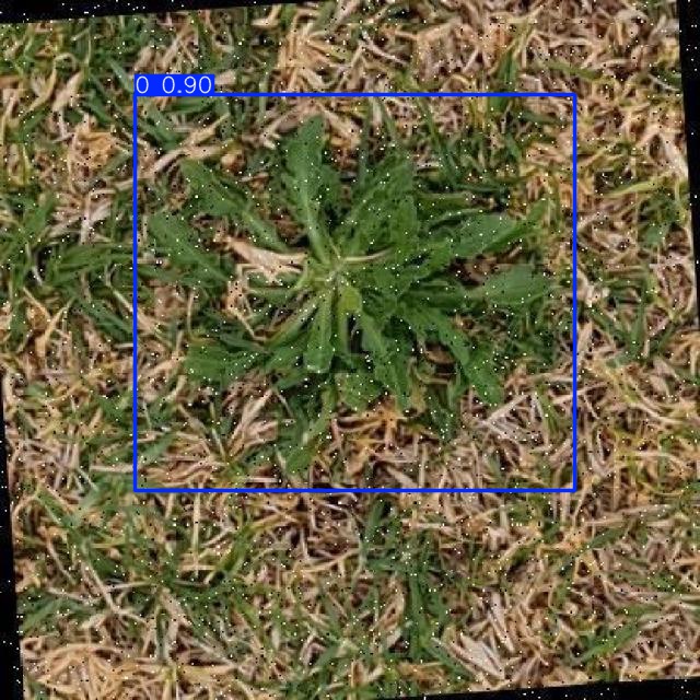 Annotated Image