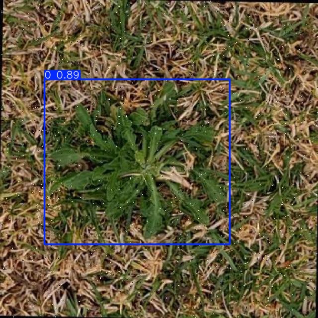 Annotated Image
