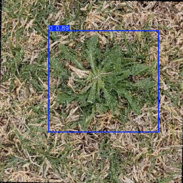Annotated Image