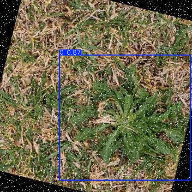 Annotated Image