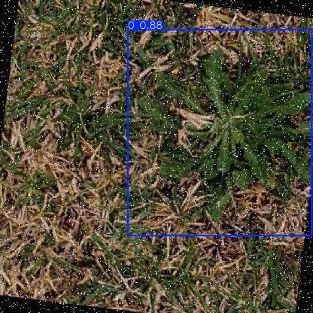 Annotated Image