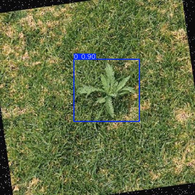 Annotated Image