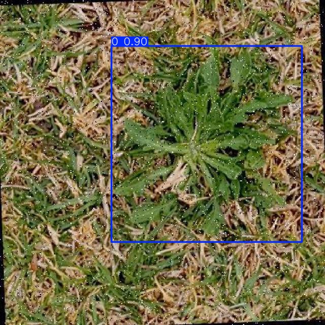 Annotated Image
