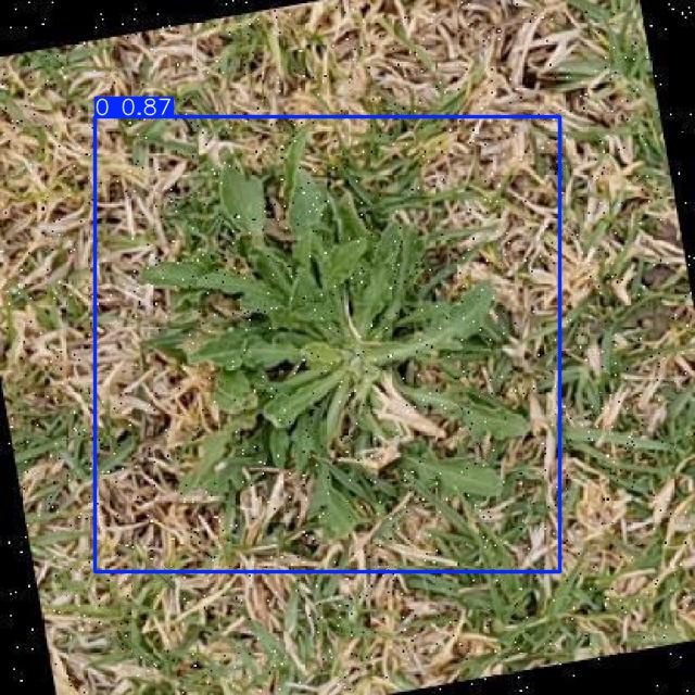 Annotated Image
