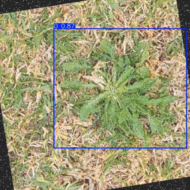 Annotated Image