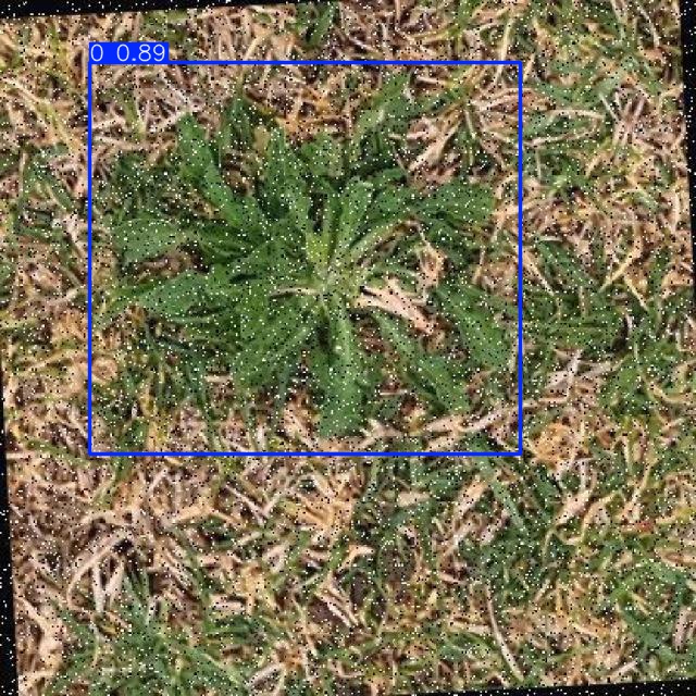 Annotated Image