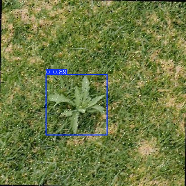Annotated Image