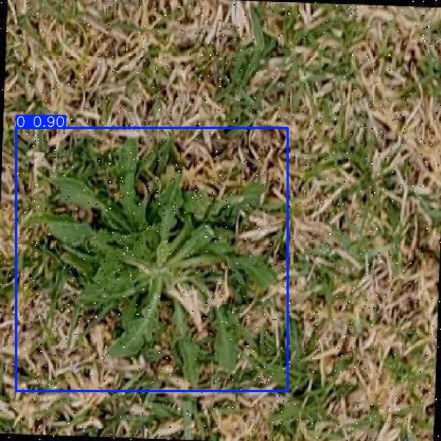 Annotated Image