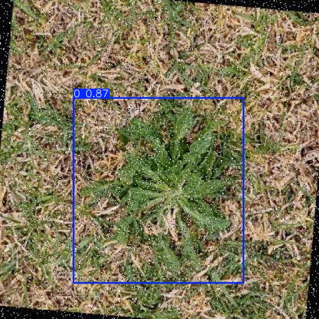 Annotated Image