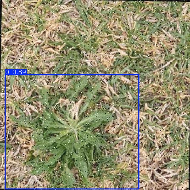 Annotated Image
