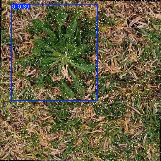 Annotated Image